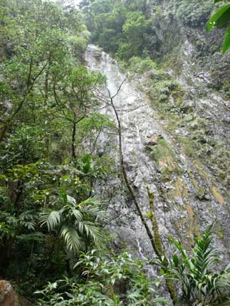 parque